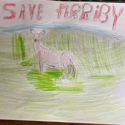 saveferriby2020's tweet image. An amazing letter from Daisy and some great points about the harm that this application will cause to local people living nearby. I hope @East_Riding is listening #sayno #noamazon 🍃💚🍃