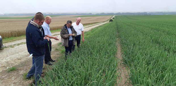 JeromeDespey's tweet photo. Aux côtés des agriculteurs avec la @10Fdsea. De nombreux hectares détruits par les inondations et des récoltes compromises. La @fnsea pleinement mobilisé pour que des solutions soient trouvées. Il y a urgence nous devons avancer sur la gestion des risques @J_Denormandie https://t.co/venf8G0fju
