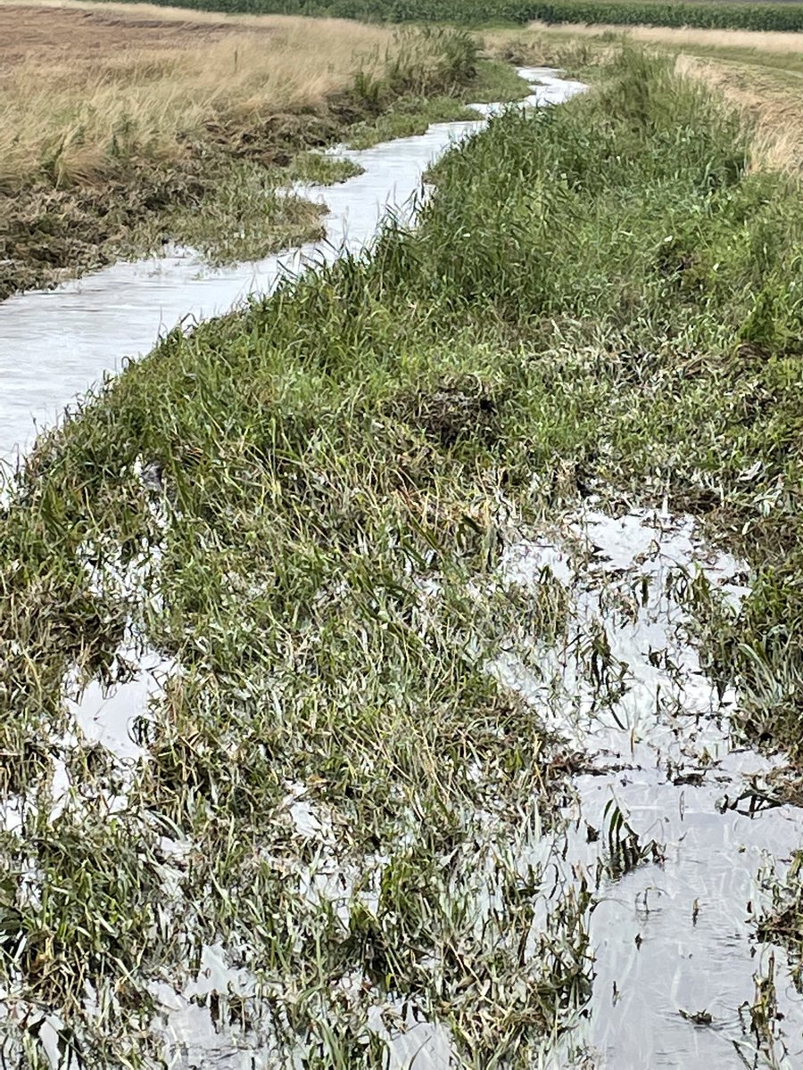 JeromeDespey's tweet photo. Aux côtés des agriculteurs avec la @10Fdsea. De nombreux hectares détruits par les inondations et des récoltes compromises. La @fnsea pleinement mobilisé pour que des solutions soient trouvées. Il y a urgence nous devons avancer sur la gestion des risques @J_Denormandie https://t.co/venf8G0fju