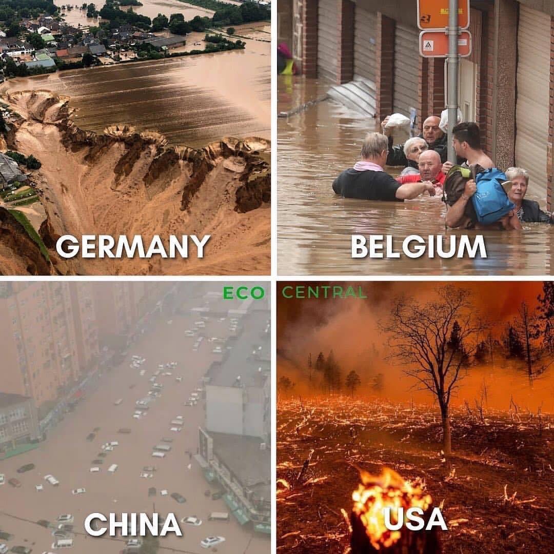 vegansmurf's tweet photo. #climatechangeisreal #climatechange #veganforeverything #timetochange #makechanges #openyoureyes #ClimateCrisis #agriculture #animalagriculture #theeffectsofanimalagriculture #motherearth #savetheplanet #govegan #lessmeatmorelife https://t.co/xYuEXfpxEt