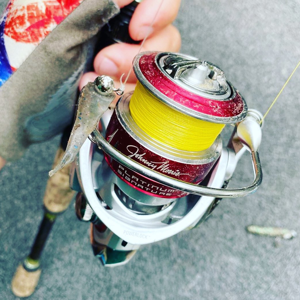 Viciousfishing's tweet photo. @joeyfishing is in love with our new Yellow No-Fade Braided Line! #fishing #fishingline #braidedline #secondtonone #nofadebraid #yellownofade #viciousfishing #viciousfishingline #getvicious https://t.co/4vO5bpzdtT