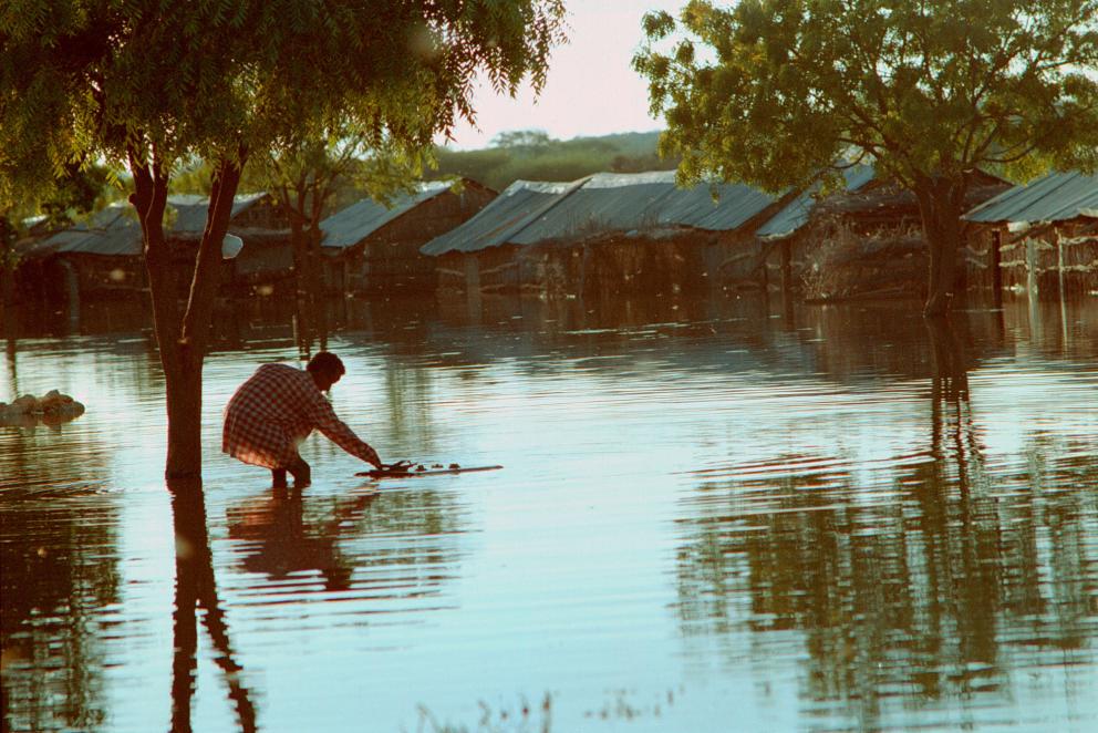 World Council of Churches (WCC) tweet media