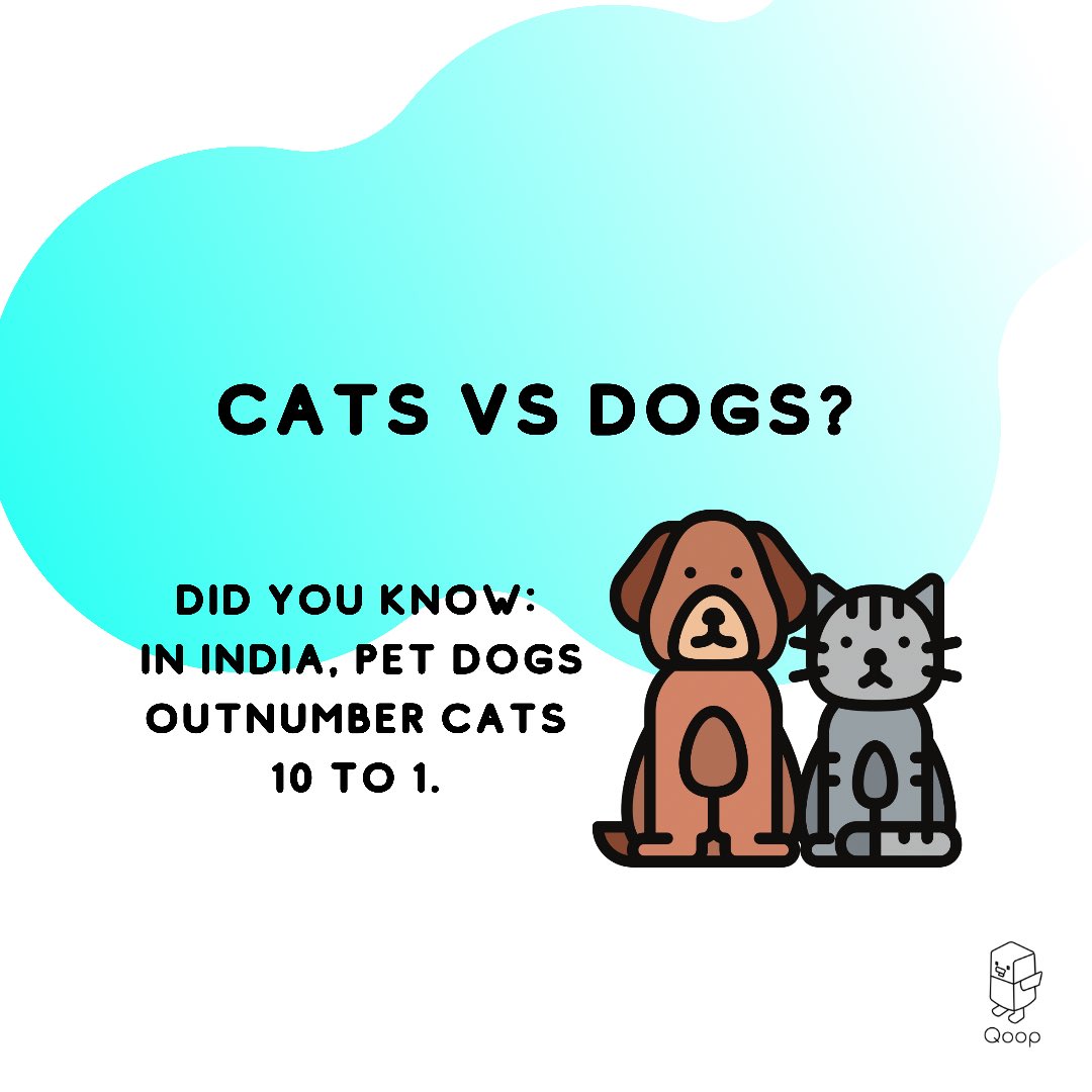 qoopofficial's tweet photo. #cats or #dogs ? #vote on the Qoop App and start #earning 🗳 💰 https://t.co/DsN6oLFjGX