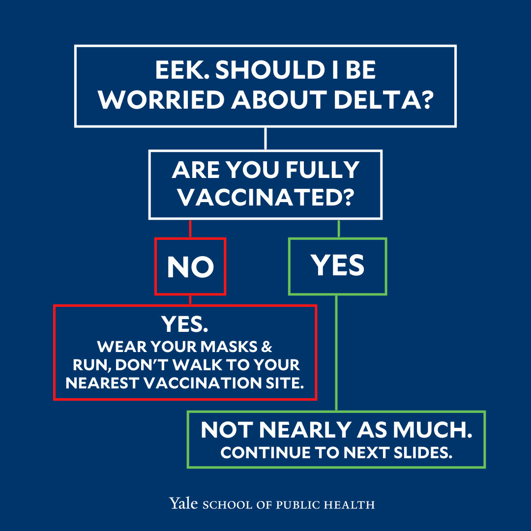 If you’re eligible and have been putting off getting vaccinated (or getting that second dose of your mRNA vaccine) here’s a little (big) nudge. Swipe through ⬇️ ⬇️ to learn about the extra transmissible Delta variant and how to stop it and future mutations. 
(via <a href="/YaleSPH/">Yale School of Public Health</a>)