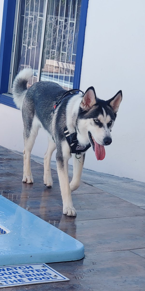 Shobha & Selwyn (@shobs_23topaz) on Twitter photo 