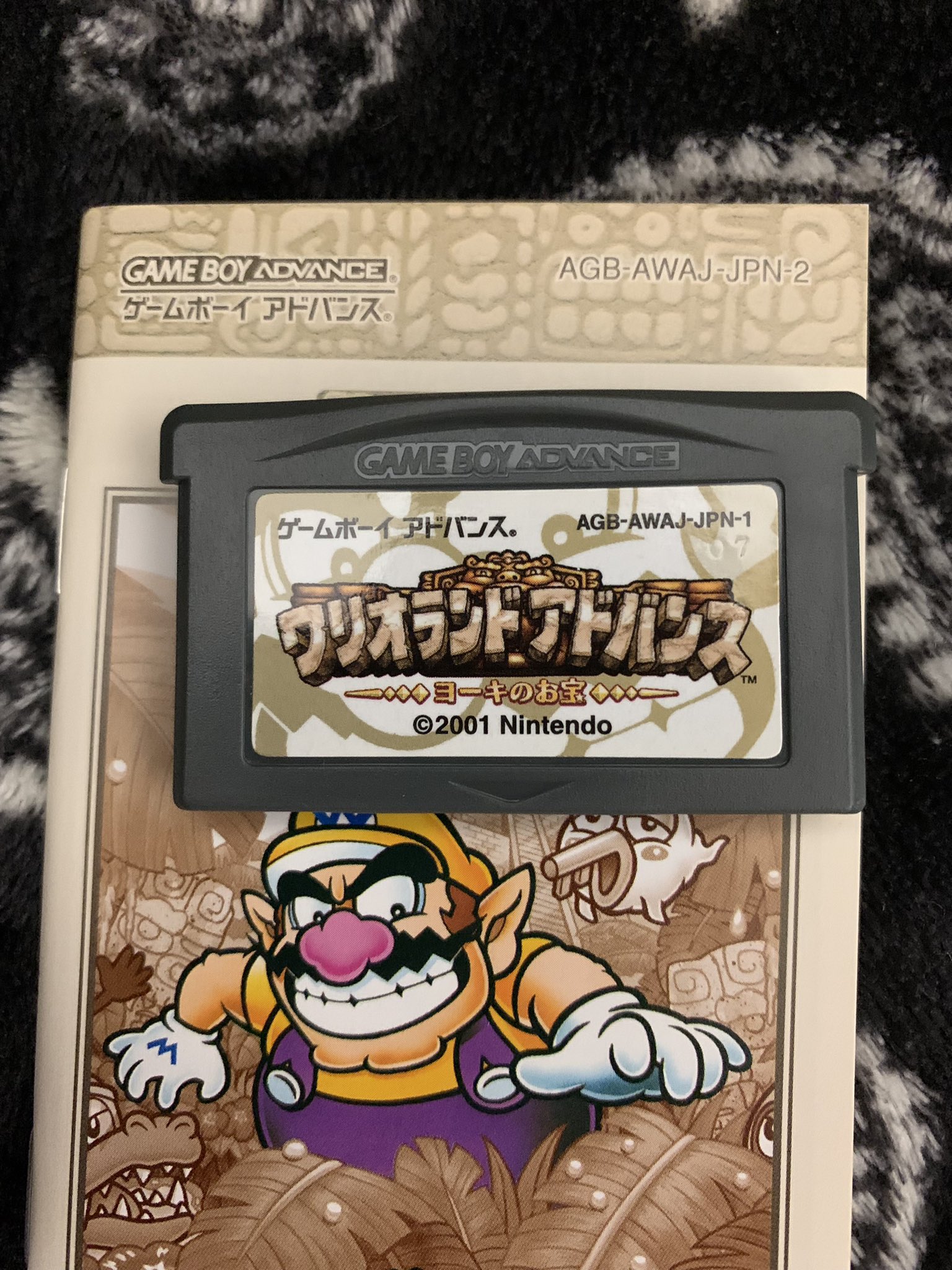 Veruゞ Cf Veru Twitter