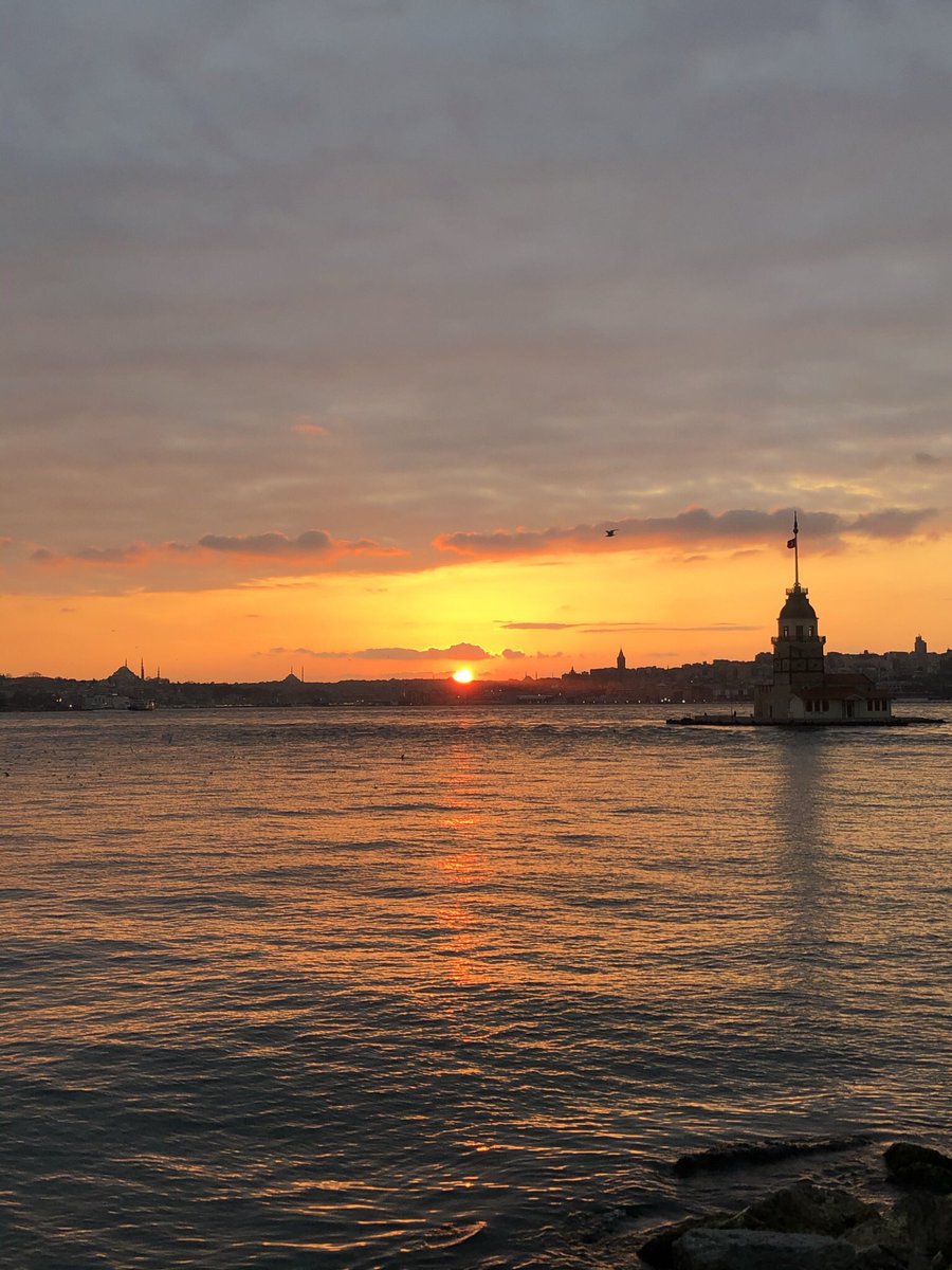 timelapseoflife's tweet photo. @Siradisisanat https://t.co/RxlzA0Holo