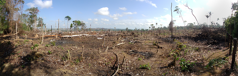 A new study shows that the Amazon Rainforest has been emitting a billion more metric tons of carbon dioxide than it absorbs. READ MORE> bit.ly/2URPZeE #climatecrisis #environmentalnews #environmentaljustice #climateactionnow