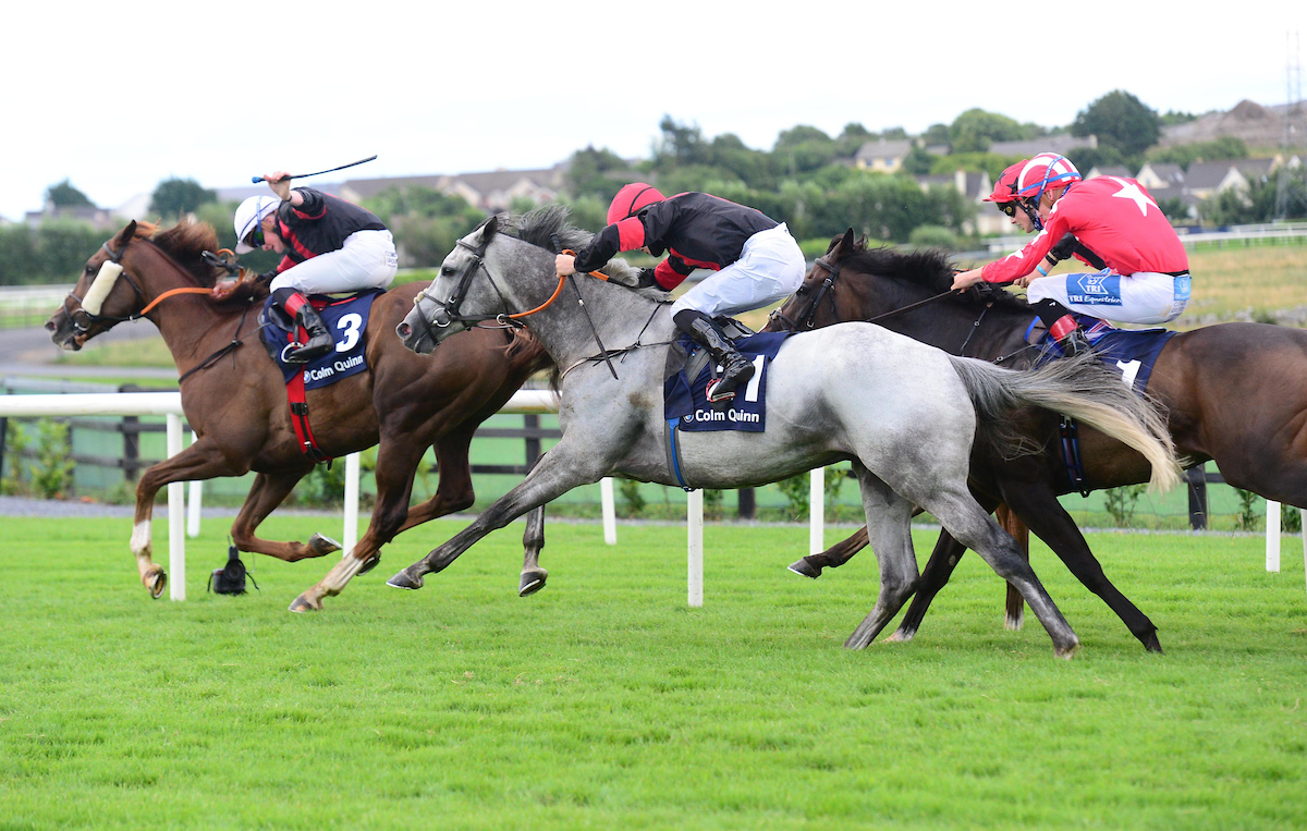 Galway Races (@galway_races) on Twitter photo 🏆SIRJACK THOMAS (grey horse) and <a href="/mikeysheehy1/">mikey sheehy</a> chase down stablemate Saltonstall (2nd left) to win the <a href="/ColmQuinn_bmw/">Colm Quinn BMW</a> Mile Handicap for trainer Ado McGuinness.
📸 <a href="/patcashhealy/">Pat Healy</a>
#GalwayRaces #GiddyforGalway 🏆SIRJACK THOMAS (grey horse) and <a href="/mikeysheehy1/">mikey sheehy</a> chase down stablemate Saltonstall (2nd left) to win the <a href="/ColmQuinn_bmw/">Colm Quinn BMW</a> Mile Handicap for trainer Ado McGuinness.
📸 <a href="/patcashhealy/">Pat Healy</a>
#GalwayRaces #GiddyforGalway