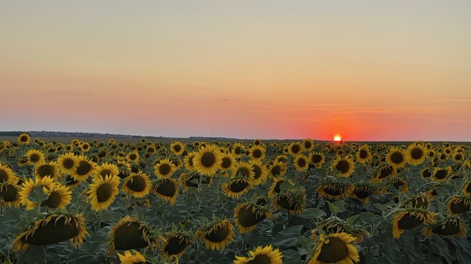 Started running daily! How not to go for a run in suck a beautiful place! https://t.co/qU3GC6lJSB<a href="/tag/gym"class="tags"><span>#gym</span></a><a href="/tag/fitness"class="tags"><span>#fitness</span></a><a href="/tag/sport"class="tags"><span>#sport</span></a><a href="/tag/bodygoals"class="tags"><span>#bodygoals</span></a>