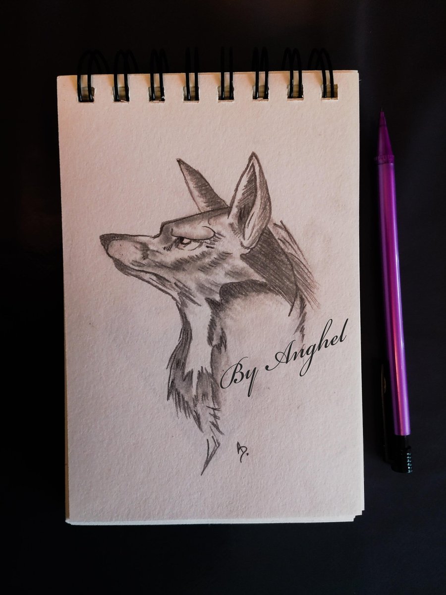 AnghellOFF's tweet image. Petit dernier