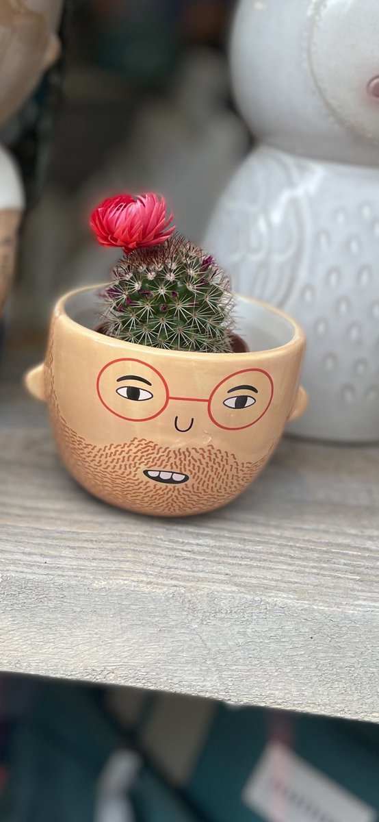 TIE School Direct tweet media