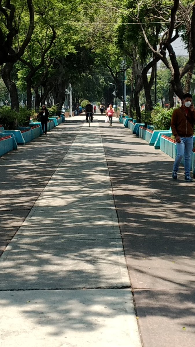 Vecinosrb's tweet photo. @ApoyoVial @VigimoviCDMX @acnoticiasmx @Claudiashein @Ssp_transitodf @AristeguiOnline @lopezobrador_ @c5
QUITAN CARRILES VITALES DE TRÁNSITO PARA LOS CICLISTAS Y A ELLOS LES VALE, Y HAY QUE ESQUIVAR, EJEMPLO CALZADA DE GUADALUPE SU CICLOVIA ES PARA EL ESTACIONAMIENTO DEL TIANGUIS https://t.co/Ztw3wcnF0i