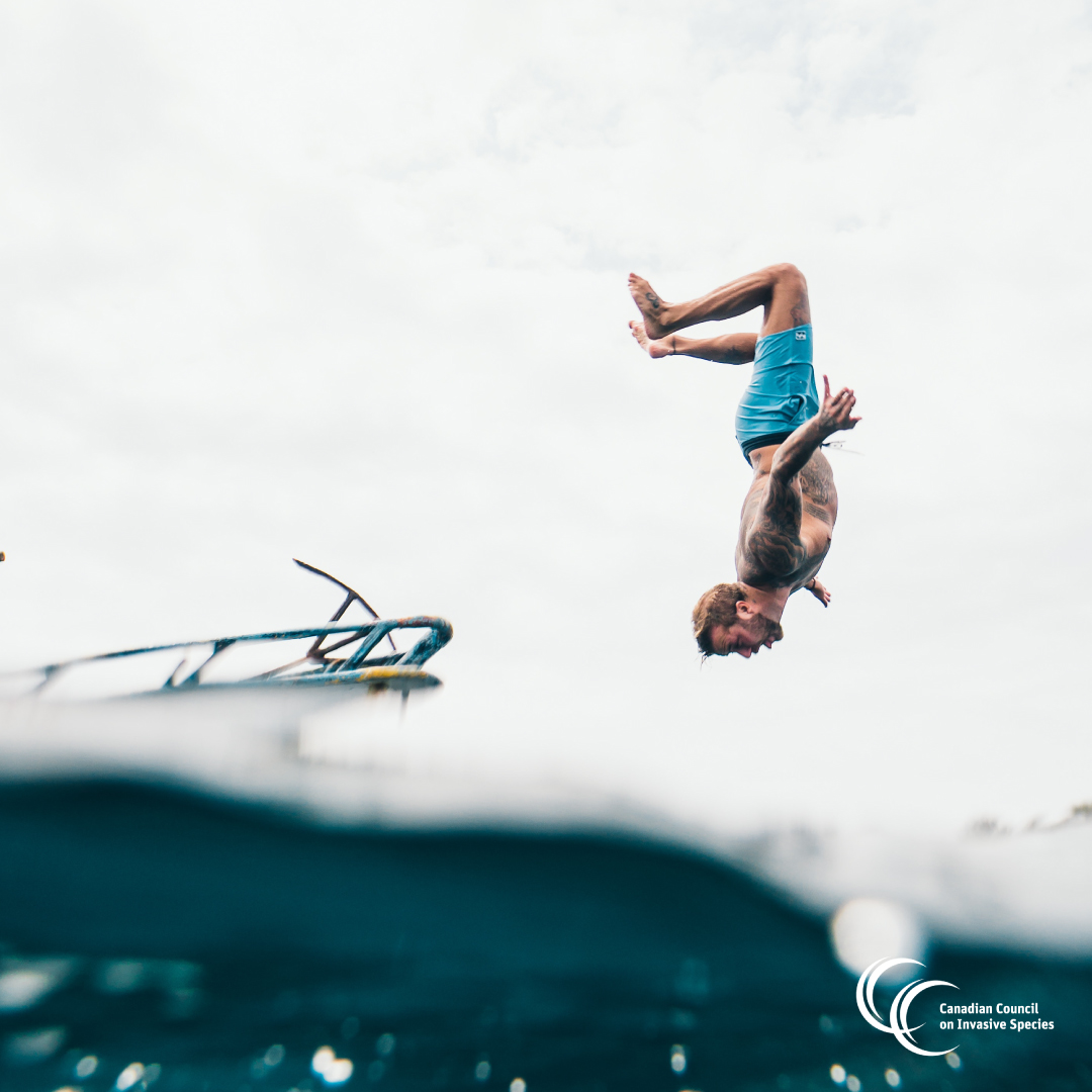 Keep diving into summer, and remember to Clean, Drain, Dry your boat when you leave! 
cleandraindry.ca
#CleanDrainDry #boat #swimming