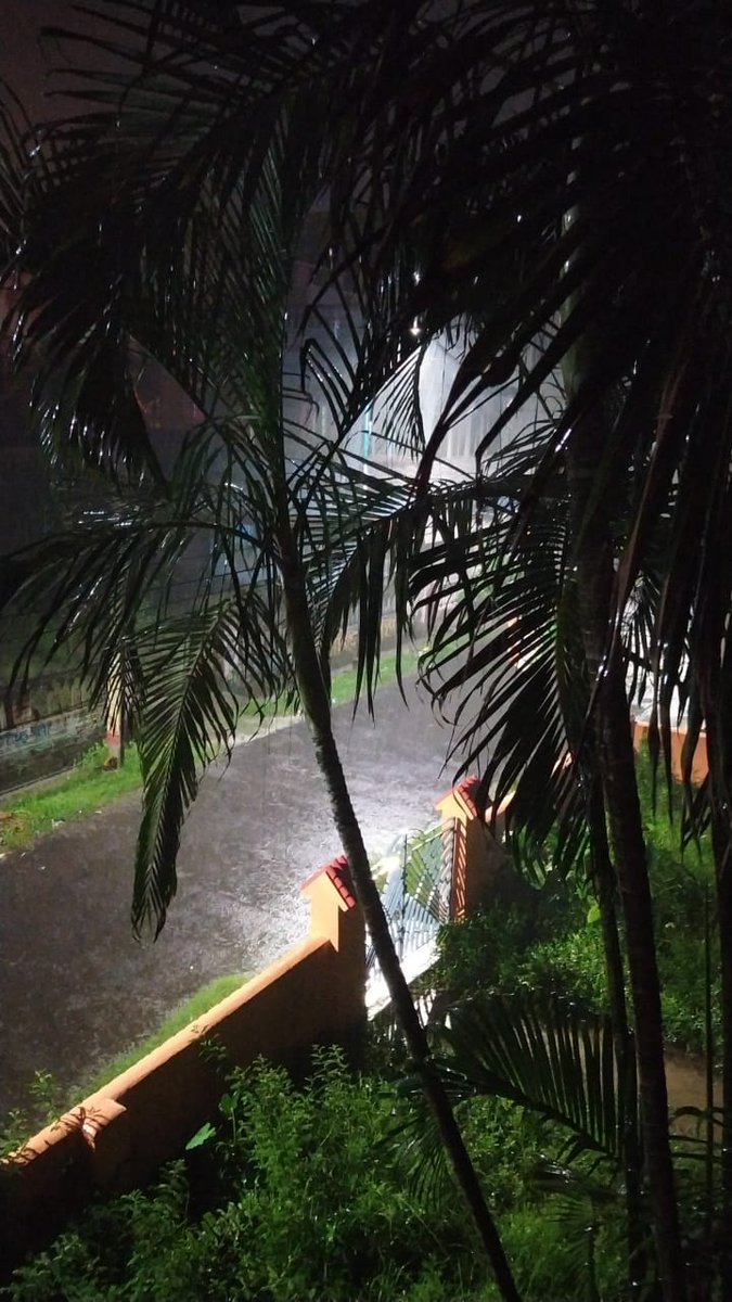 moumidrdz's tweet photo. @DarshanRavalDZ #Rainingtoday
#jannatve https://t.co/k39Yp3Y6Ye