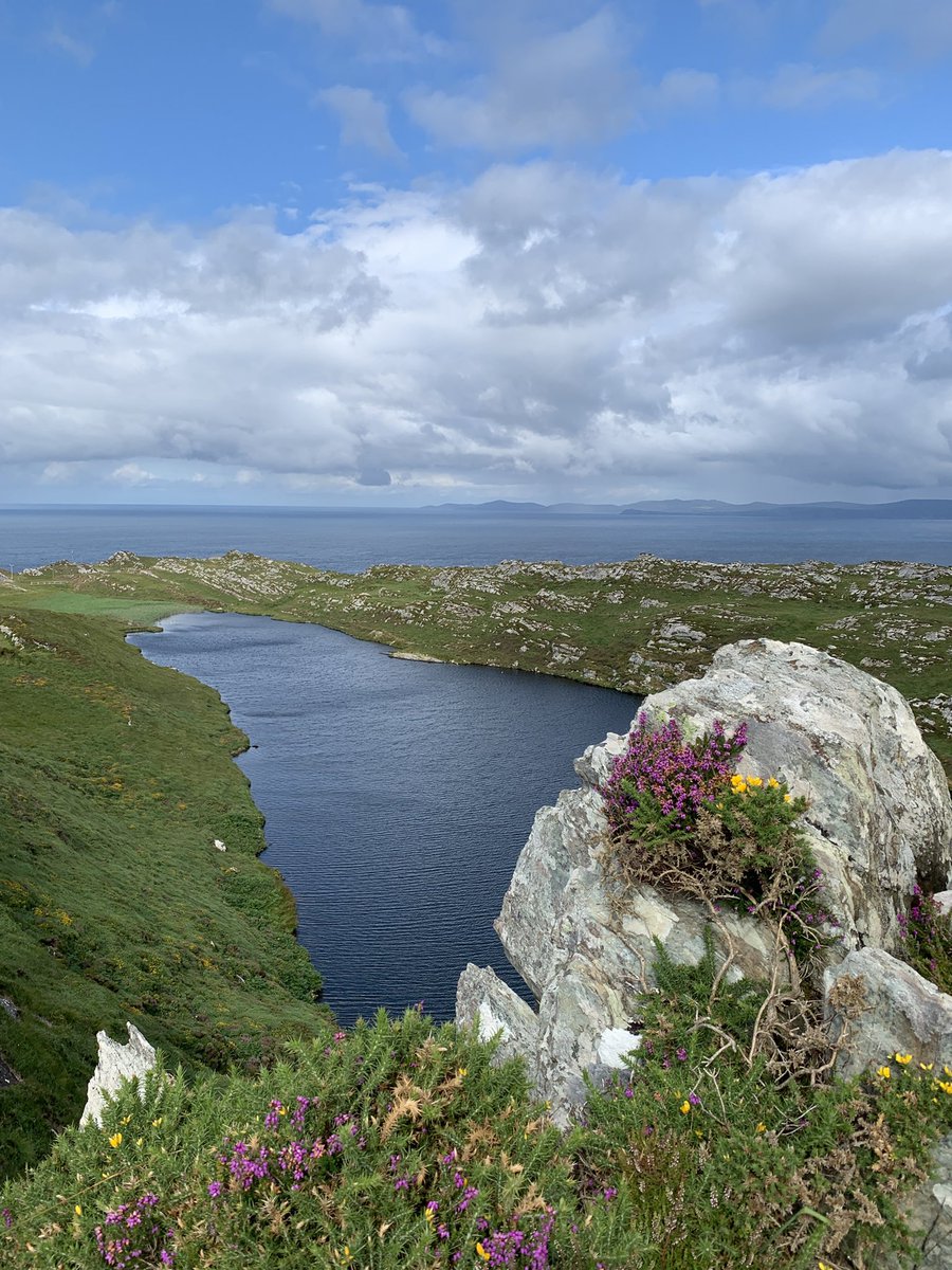 b9oconnell's tweet image. Sheep’s Head is a brilliant place to walk. So much to see and well marked trails. Next stop west is America