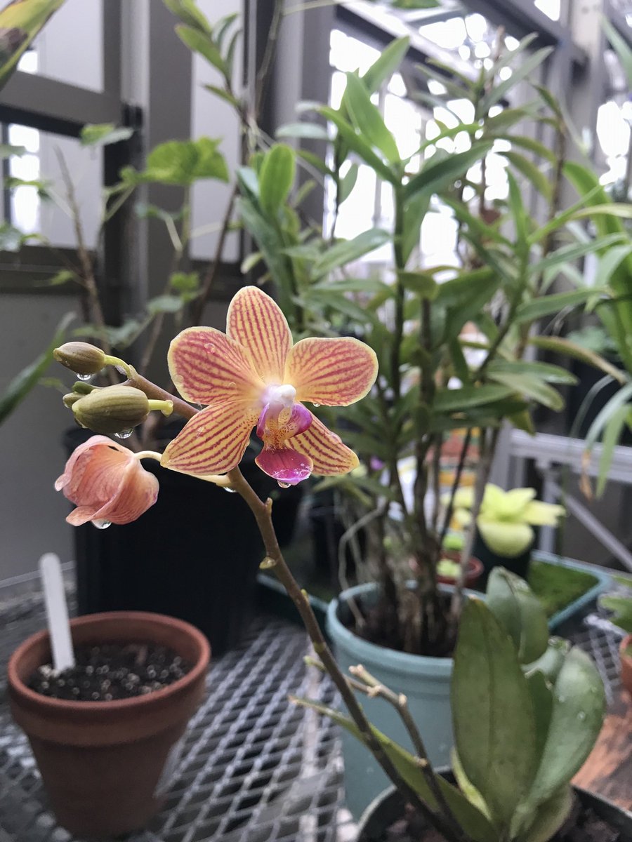 Adrian Bethel tweet media