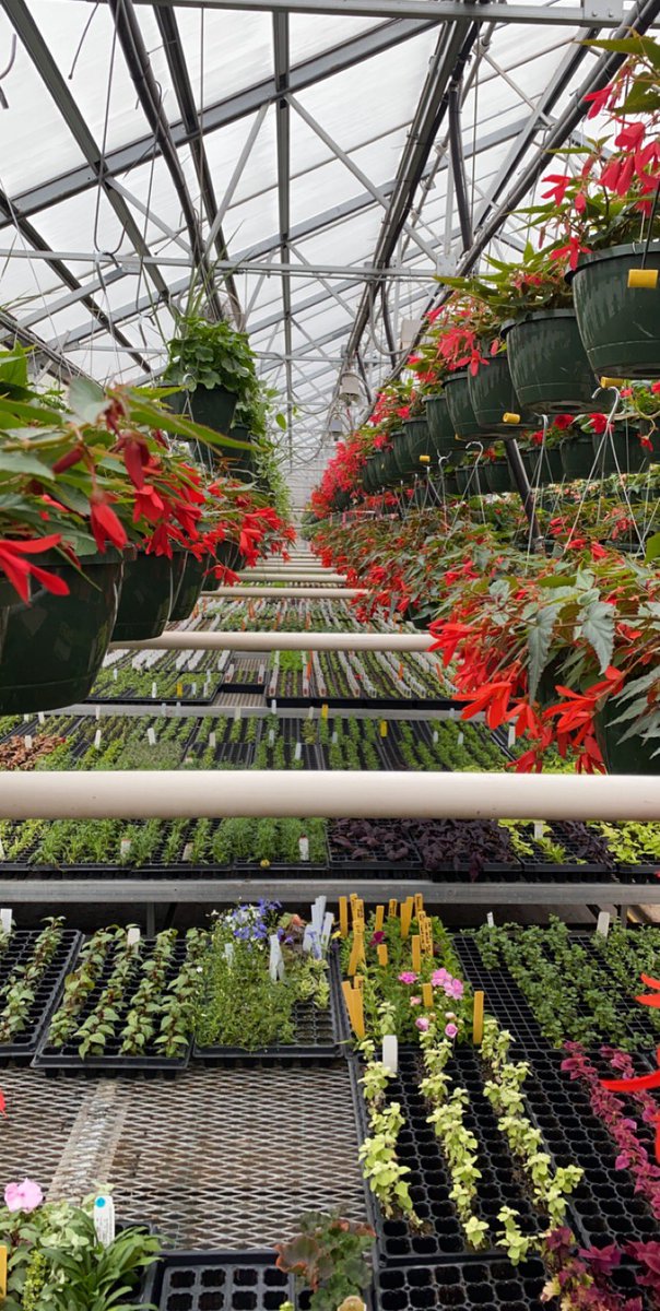 Adrian Bethel tweet media