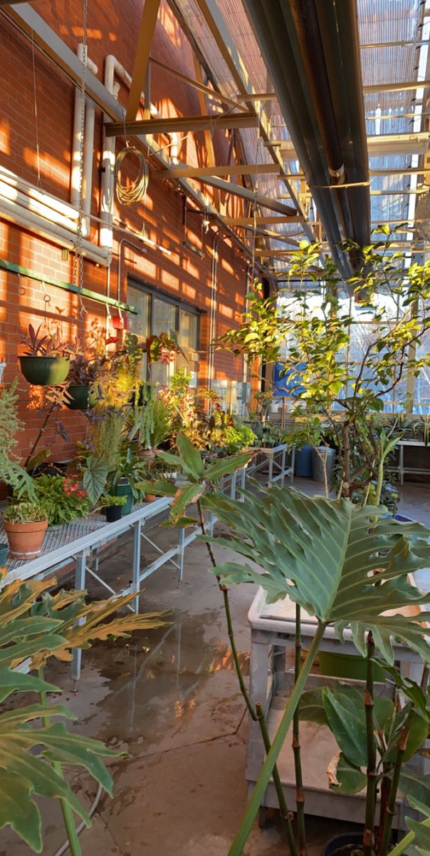 Adrian Bethel tweet media