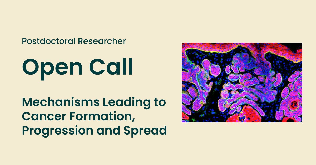 Call for #Postdoctoral #Researcher

<a href="/ChampalimaudF/">ChampalimaudF</a> is opening a #postdocposition for a project focusing on the mechanisms that lead to #cancer formation, progression &amp; spread.

Apply here👉bit.ly/3BNzocv

#postdoc #lisbon #tumour #organoids #bioimaging #clonalanalysis