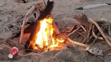 We get it; a campfire would really add to your vibe. 🔥

But reminder: fires are not permitted on the beach at any time.

#ForTheLoveOfParks