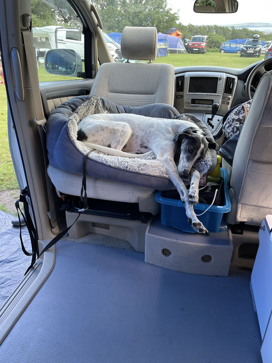 Hmm I think we made a mistake when we let the dog sleep on the front seat at night. Now it is apparently her place all day too.