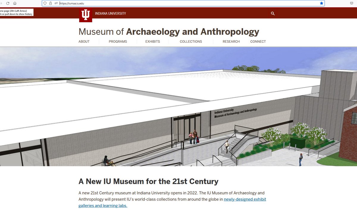 IU Museum of Archaeology and Anthropology tweet media