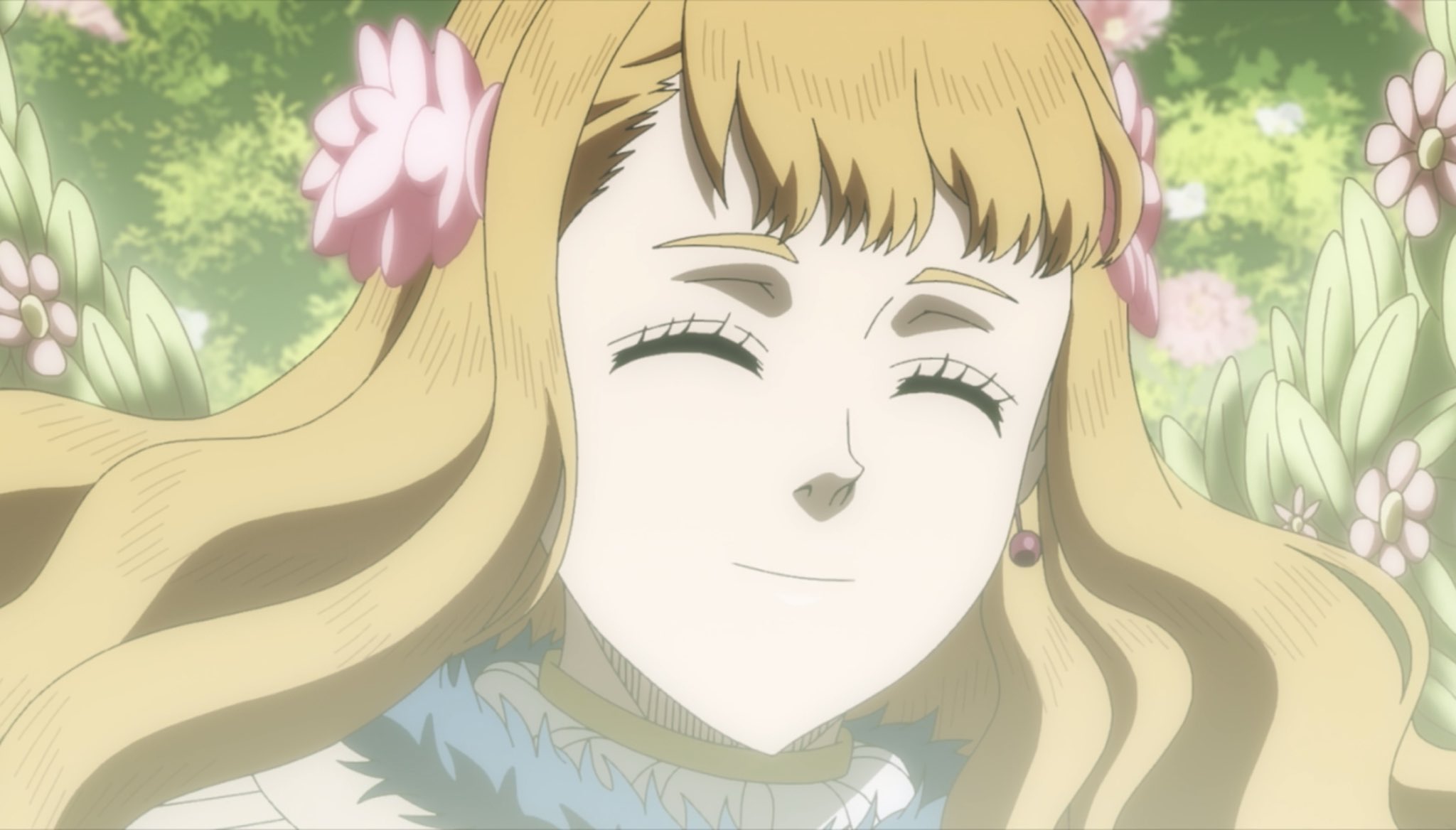 Black Clover Mimosa
