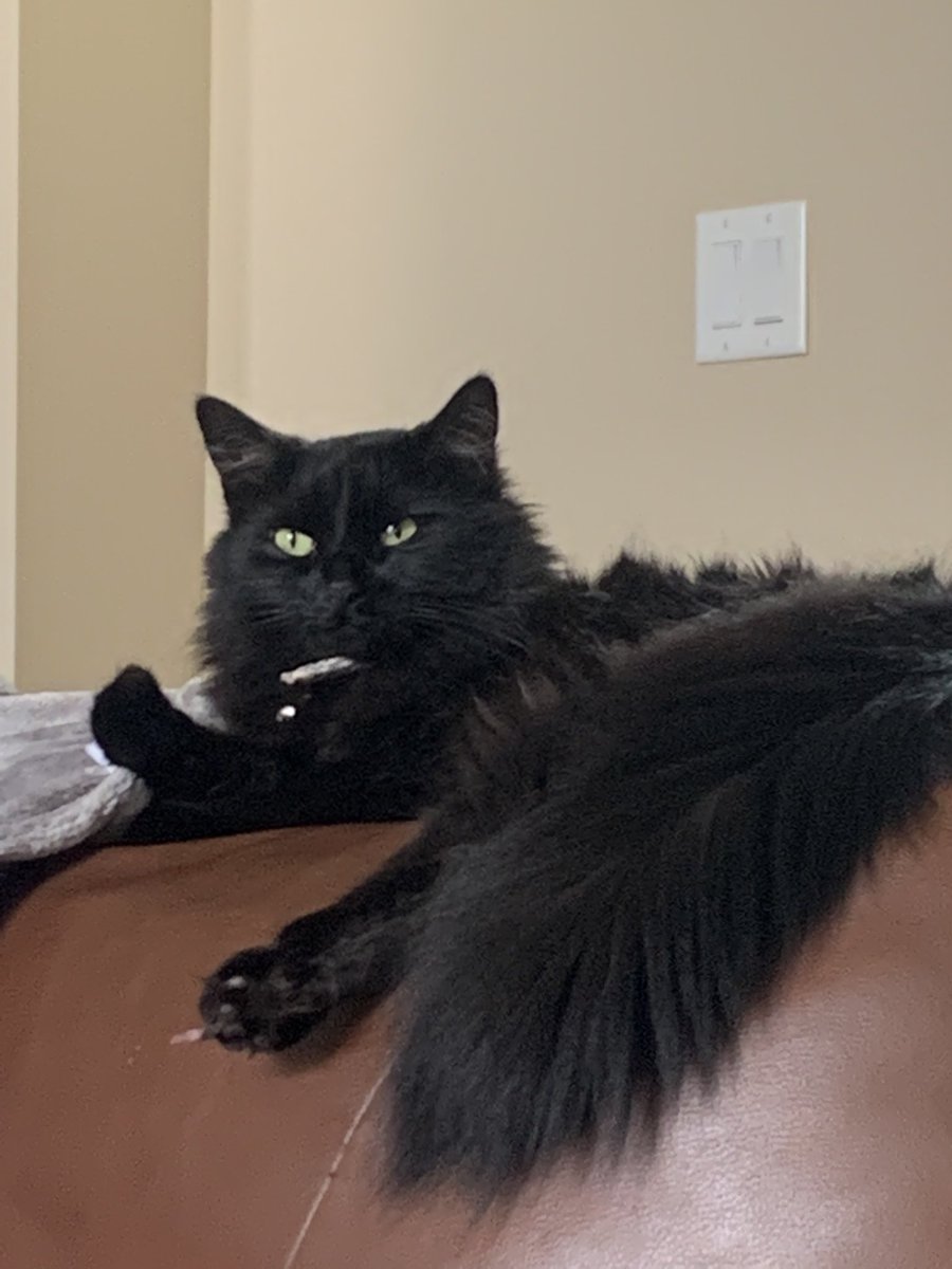 ItsBlarg's tweet image. Doug says 🤌🏿