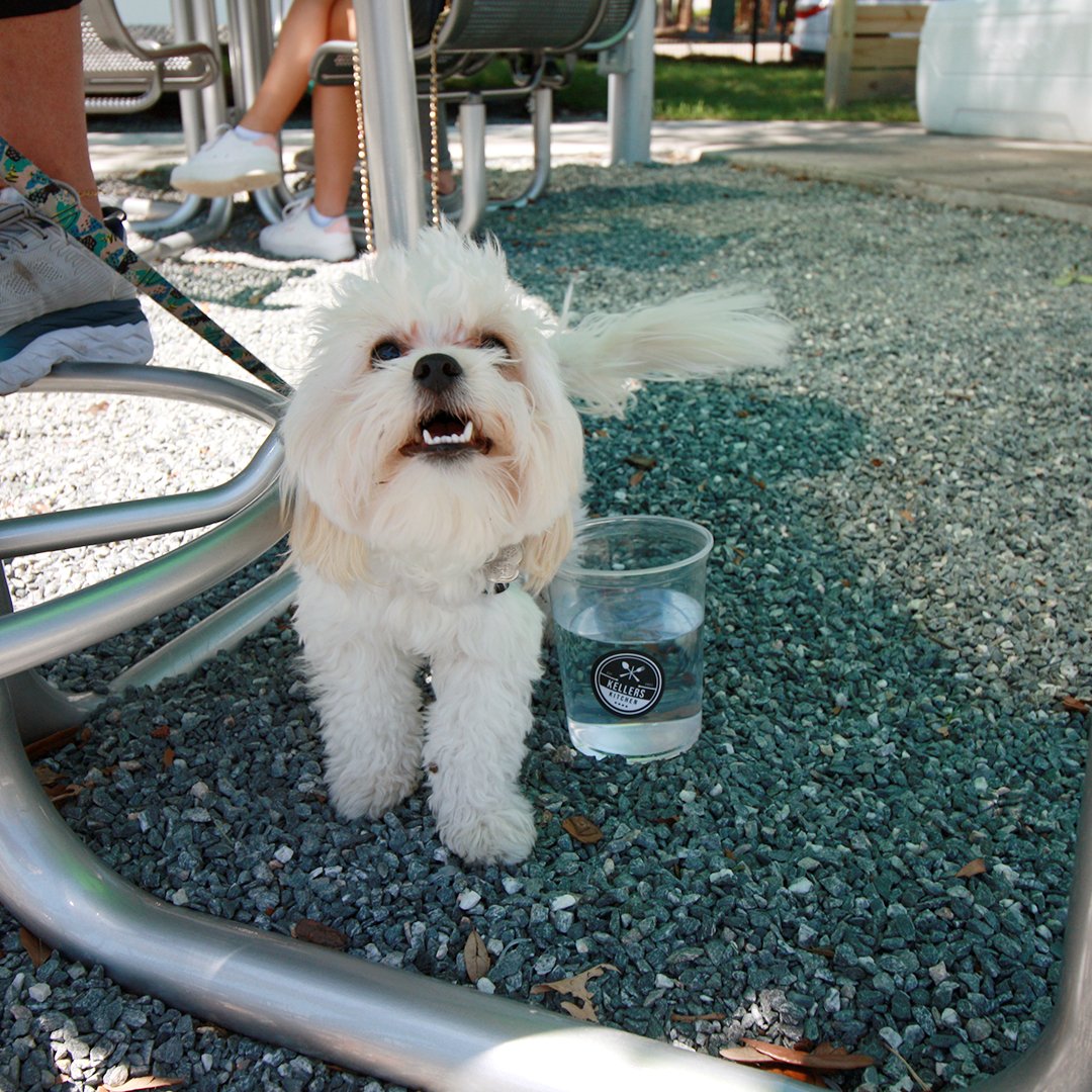 Midpoint Park & Eatery Gainesville tweet media