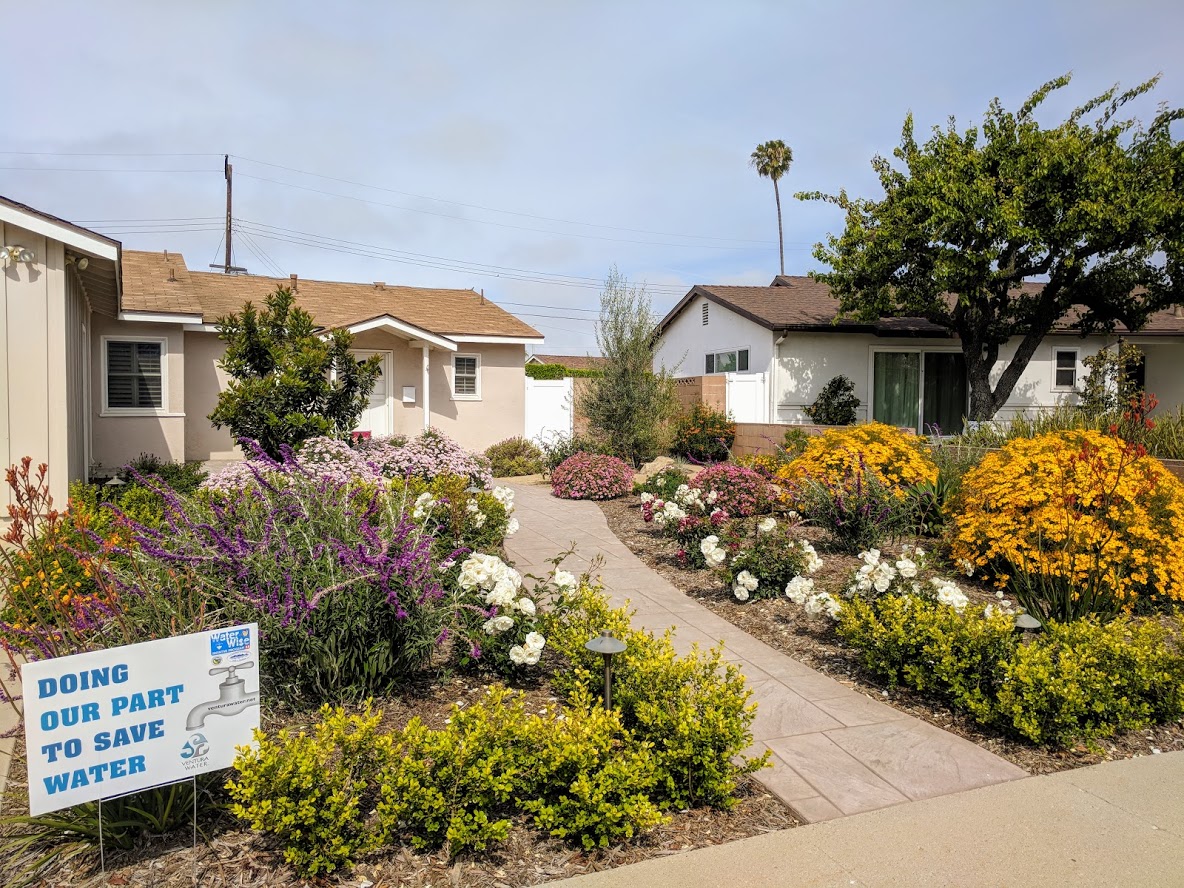 Interested in replacing your lawn with a low-water landscape? Ventura Water offers a $2 per square foot rebate. Apply today at: removeyourturf.com/ventura-turf-r…
#venturawater #waterwise #rebate
