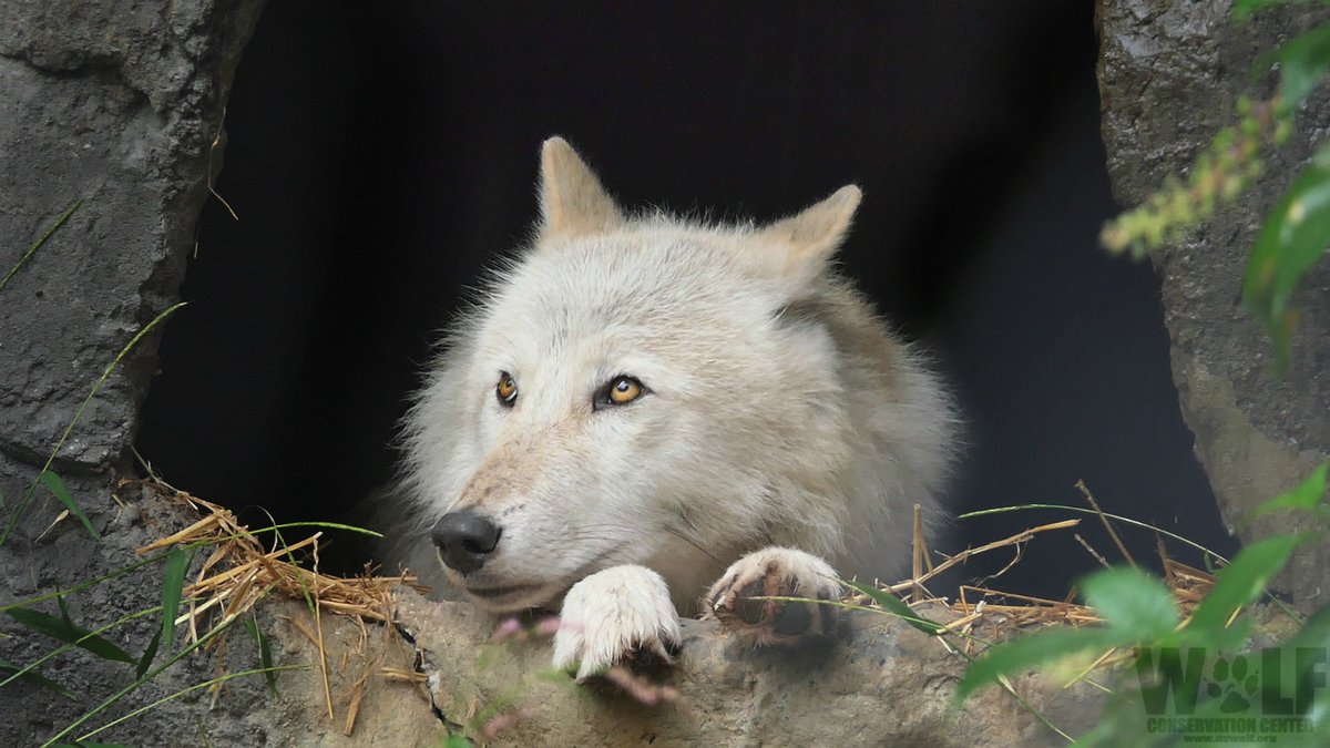 Is it raining where you live too ⛈