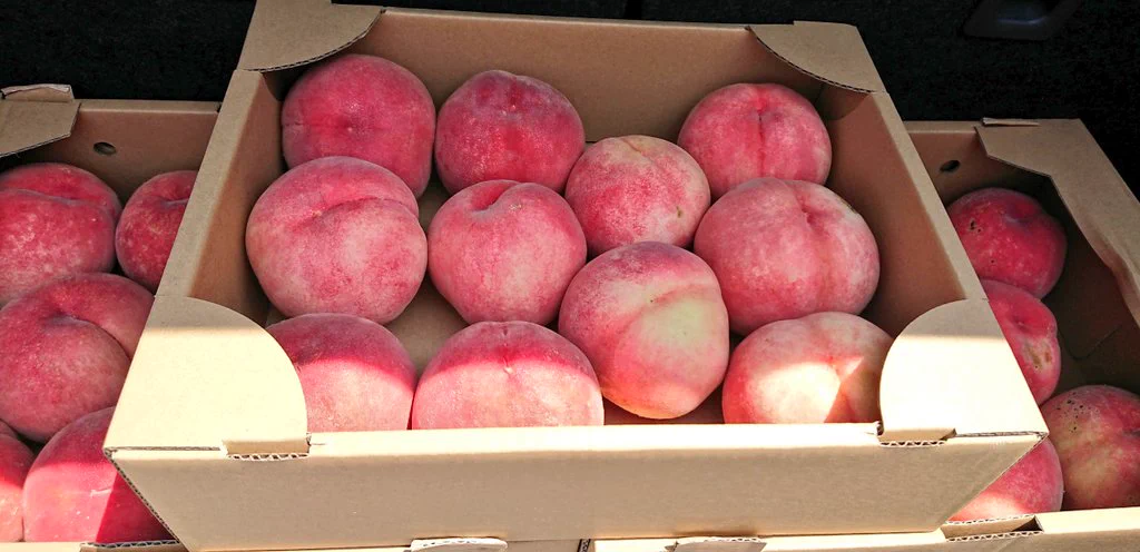 一部の福島県民も知らなかったこと？お盆頃まで桃が安く買える手段がある！