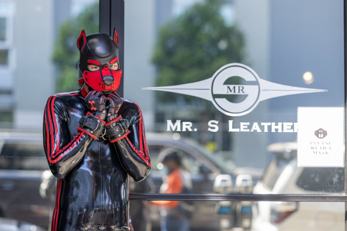 Pup Rally on Twitter: 