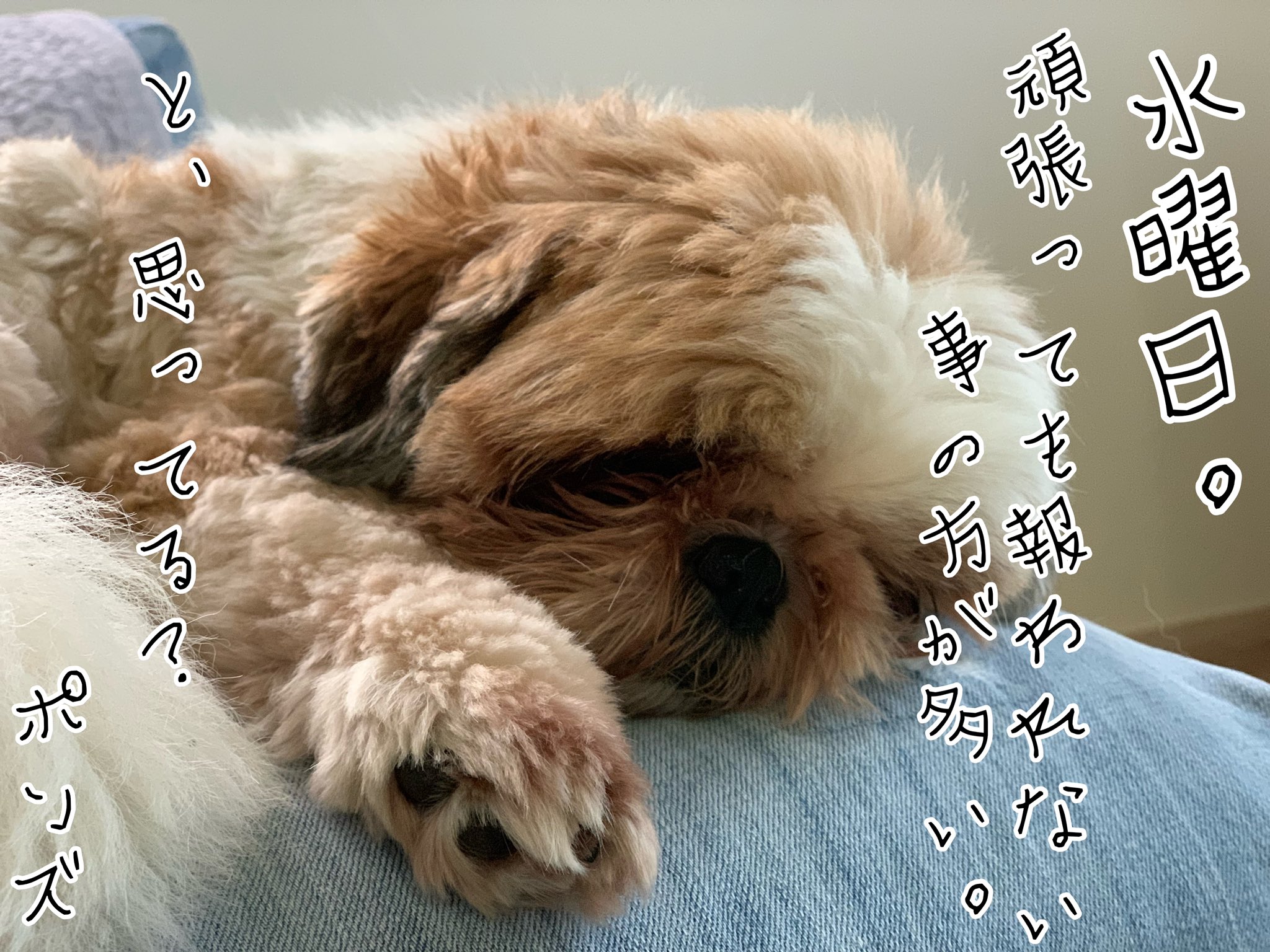 道筋 Twitter Search Twitter