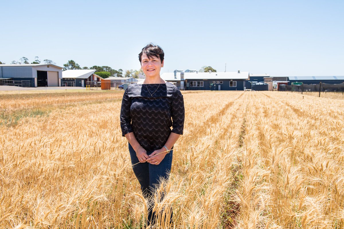 🌊 <a href="/usqedu/">usqedu</a> has been named as a research partner in a new $2M Research Hub - aiming to reshape how wastewater infrastructure is built in the future.

Details: bit.ly/3y575UO