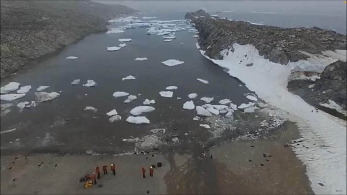 MJPolito's tweet photo. @DocHPJones @IsoDodd @LSUResearch @LSU_CCE @Nachusa @calklattgolba @TheJR @QuarkExpedition Wow!! I canβt match the rarity, but maybe I can get some points for sheer numbers. Danger Island Expedition - we counted 1.5 million Adelie penguins (drones helped). π§π§π§π§π§π§π§π§π§π§π§ https://t.co/o8uajmCa8d