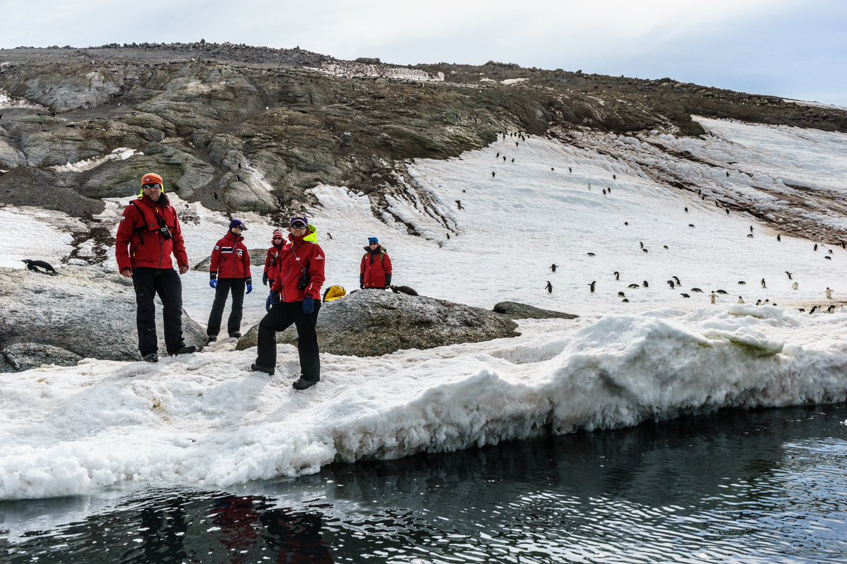 MJPolito's tweet photo. @DocHPJones @IsoDodd @LSUResearch @LSU_CCE @Nachusa @calklattgolba @TheJR @QuarkExpedition Wow!! I canβt match the rarity, but maybe I can get some points for sheer numbers. Danger Island Expedition - we counted 1.5 million Adelie penguins (drones helped). π§π§π§π§π§π§π§π§π§π§π§ https://t.co/o8uajmCa8d