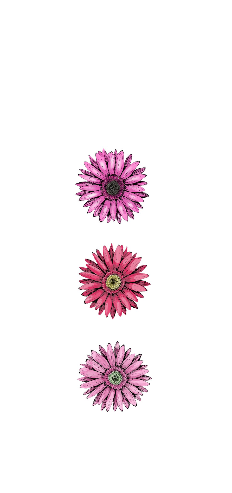 あすかすわーく ピンクのガーベラ スマホの壁紙用に イラスト 絵描きさんと繋がりたい アート お絵描き デジタルアート 落書き アイビスペイント 絵柄好みって人にフォローされたい 花の絵 デザイナー T Co Kswla8weiw Twitter