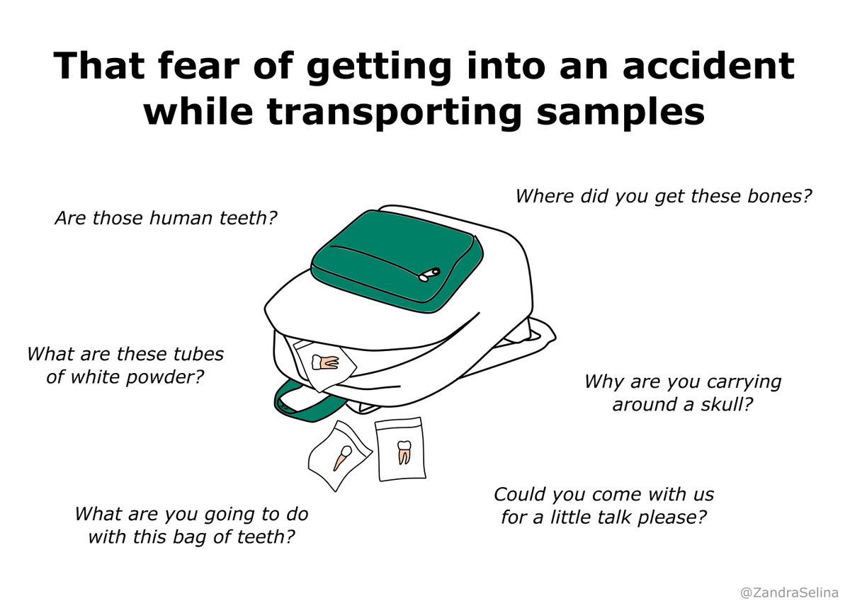 Dentist to the Dead tweet media