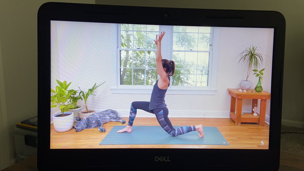 NHndzDISD's tweet photo. After a BUSY Bootcamp today lets do some good yoga to stretch and relax. ❤️ #PLWorkoutWeek @PersonalizeDISD @dallasschools https://t.co/oxit78ztzQ