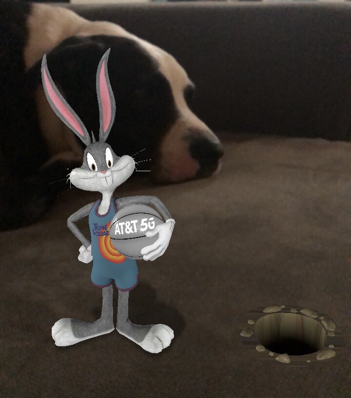gordo_dog's tweet photo. Sigh, I’m trying to nap, and this darn #rabbit dug a hole in my couch and keeps bothering me. #BugsBunny #GordoTheDog #Woof #SpaceJam #WelcomeToTheSpaceJam https://t.co/VYoTNkTQ1E