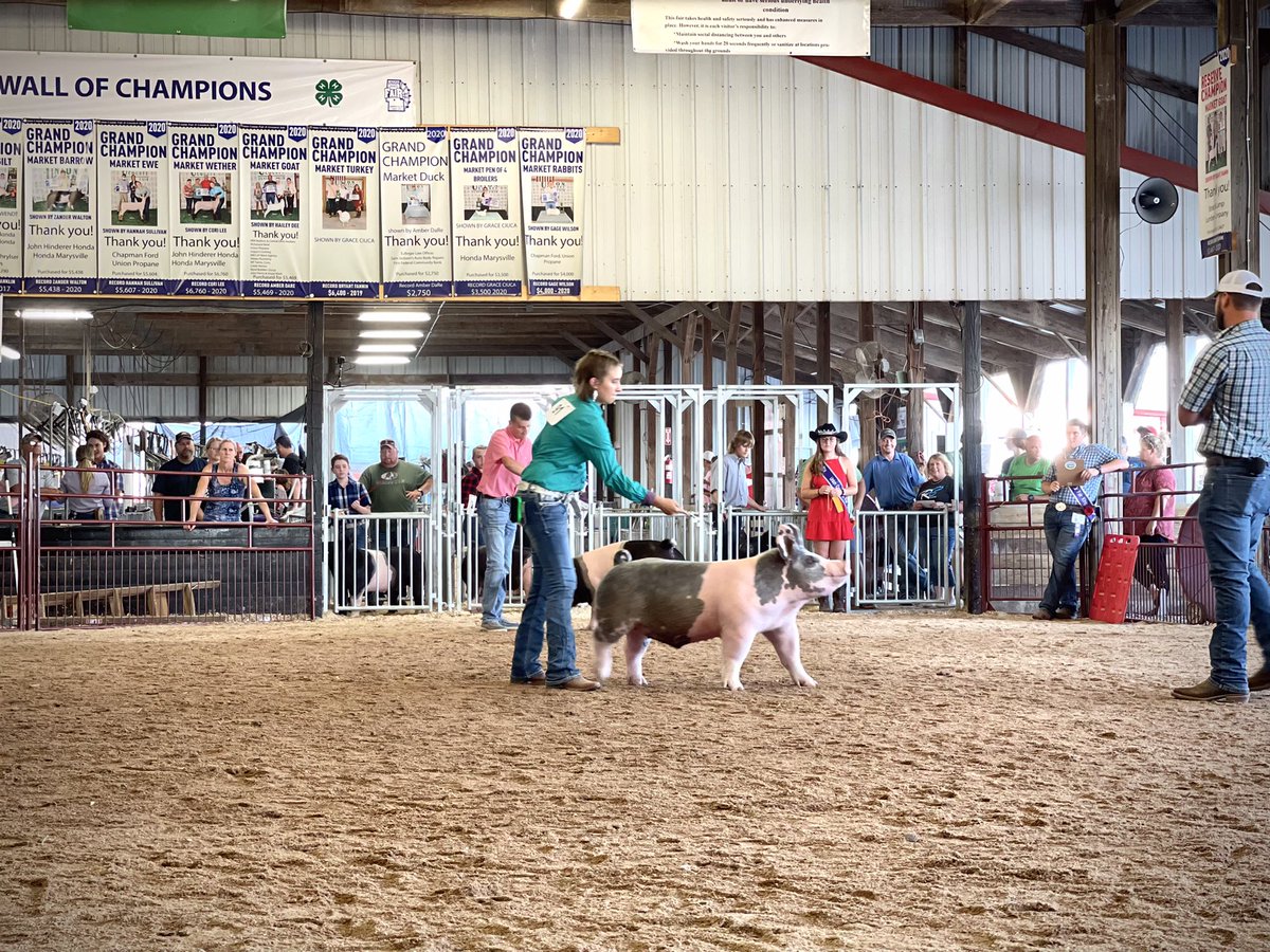 MarysvilleOHFFA's tweet photo. Congratulations, Taylor!

Taylor Burnham
2021 County Born and Raised 
Reserve Grand Champion 
Market Barrow Pig

#PTBM #unioncountyfair #FFA https://t.co/kCuACAPYHn
