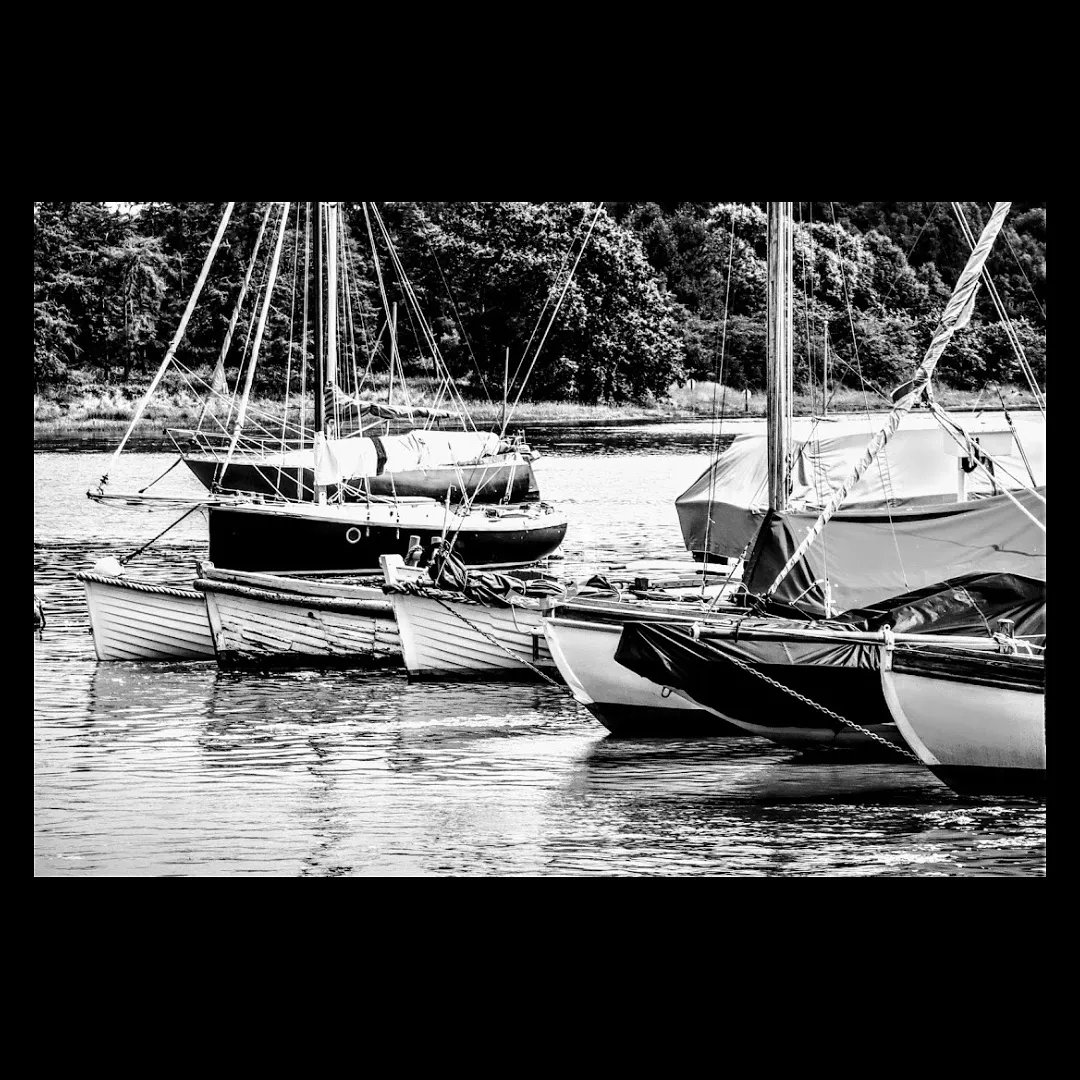 PearlyKing1's tweet photo. A afternoon with my camera 📷 still learning. #Theschoolofphotography #ametuer #canon #photography #commentswelcome #keeplearning https://t.co/dliNzqAtuw