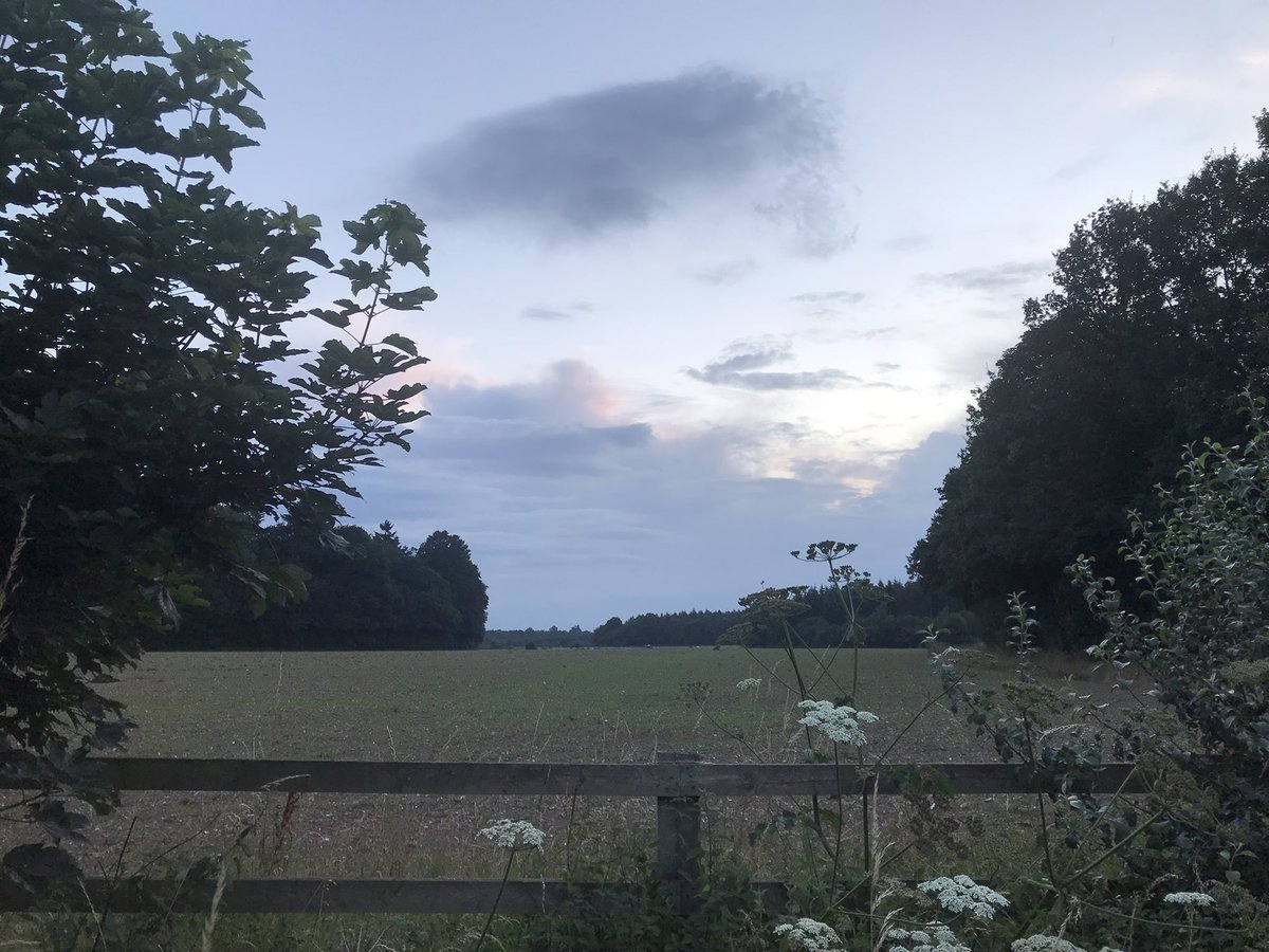 nickyl_ga's tweet photo. Switched training up today. Strength training in the morning and a longer walk this evening. @geckofitness #loveexercise #positivity https://t.co/3HMmlTvYYD