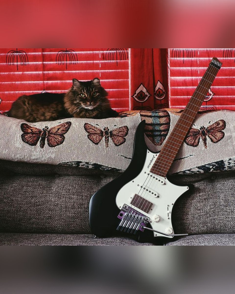 strandbergGuit's tweet photo. LE Svartens are arriving in the wild! 🏁 Welcome to the .strandberg* family @68lespaul, @michaelbester, @solopianomusic, and @woo_guy and happy .NGD*!

#strandbergguitars #strandberg #svarten #ngd #boden #guitar #headlessguitar #multiscale #feelbettersoundbetter #goheadless https://t.co/leD2p8s42w
