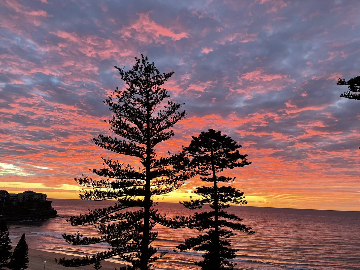 Stunning #sunrise makes #lockdownSydney tolerable today.
