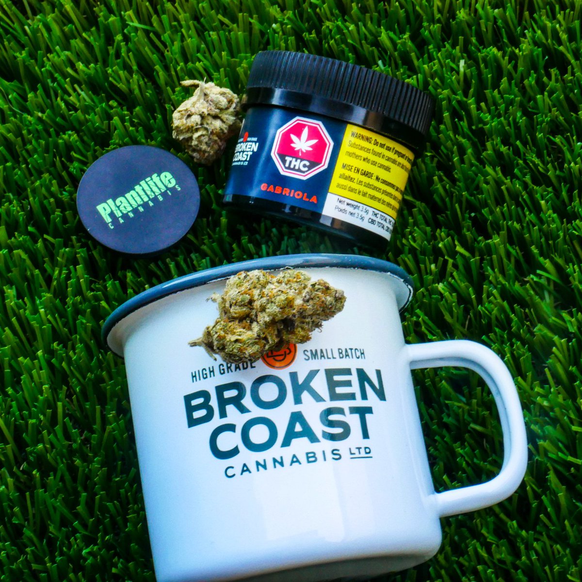 Enjoy all your Canadian West Coast strains with @brokencoast.ca. 🌲
-
Find out more via the link in our bio! 
-
#plantlifecannabis