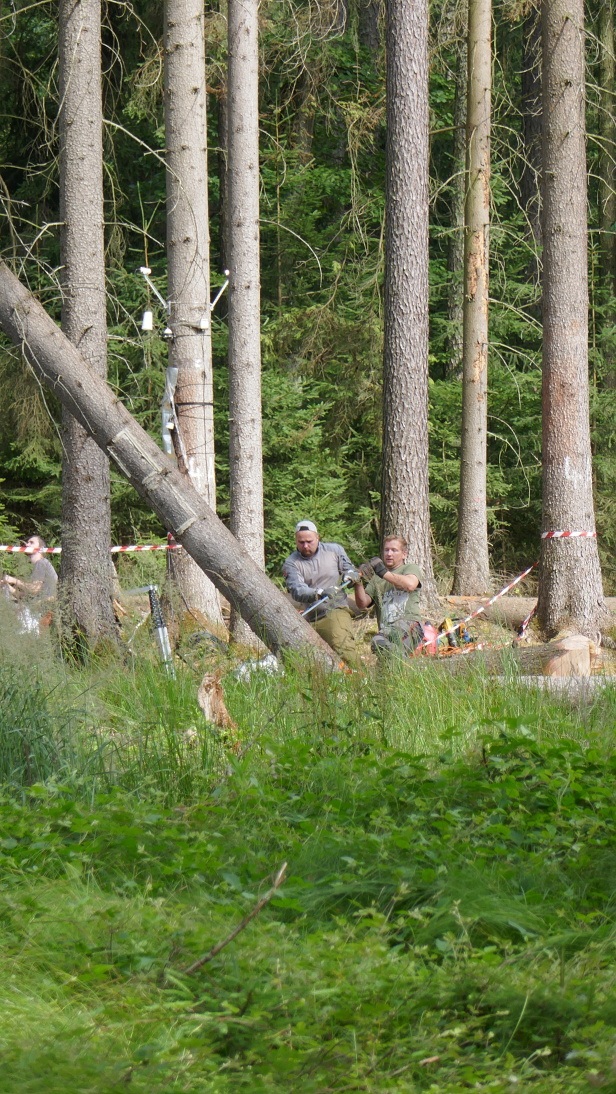 RModlinger's tweet photo. Climbing for branches and samples of bark of unattacked trees, cutting of attacken trees is sometimes heavy, sampling of population under the bark #EXTEMIT-K #plot3and4 https://t.co/4Mb6KIpCF8