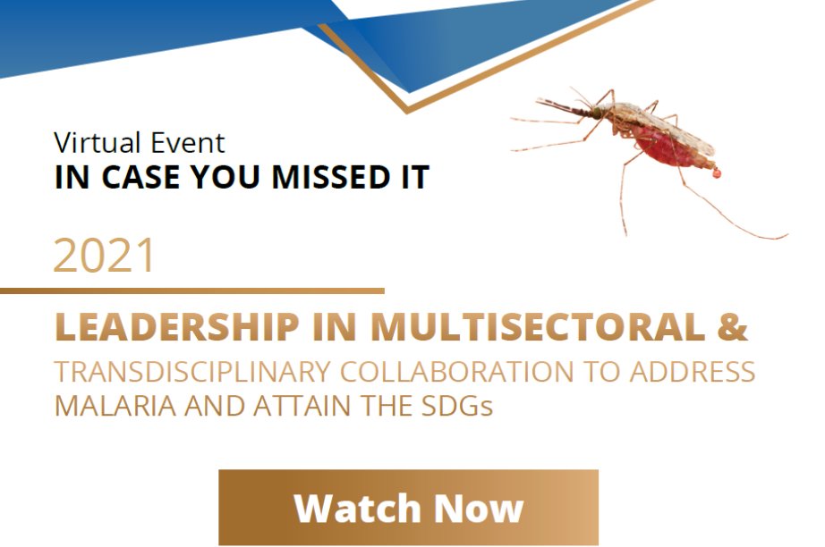 UPEndMalaria's tweet photo. If you missed the @UPTuks ALLI webinar featuring four @UPEndMalaria researchers on 22 July 2021, you can watch the recording here: https://t.co/Mn0SVdDSZV
#LifeChangers #Leadership #ImpactOnSociety #Transdisciplinary #Research #Malaria #SDGs #MultisectoralCollaboration #mdp https://t.co/DkAXS59nS4